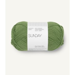 Sunday 8753 Vineyard green