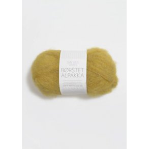  Brstet Alpakka Korngul 2024