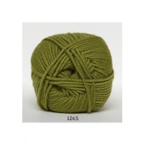  Extrafine Merino 120 - 1265 oliven