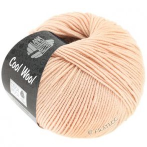  Cool Wool farve 2032 lakse