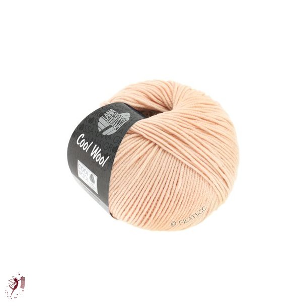  Cool Wool farve 2032 lakse